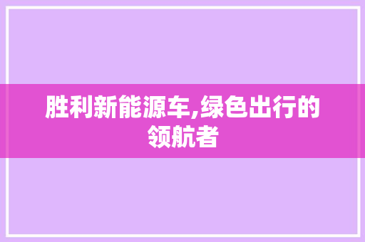 胜利新能源车,绿色出行的领航者