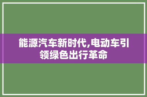 能源汽车新时代,电动车引领绿色出行革命