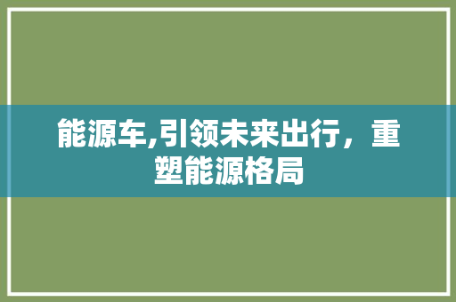能源车,引领未来出行，重塑能源格局