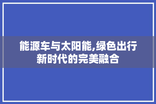 能源车与太阳能,绿色出行新时代的完美融合