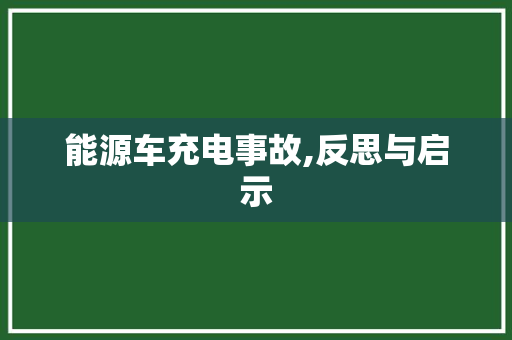 能源车充电事故,反思与启示