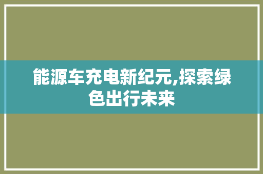 能源车充电新纪元,探索绿色出行未来
