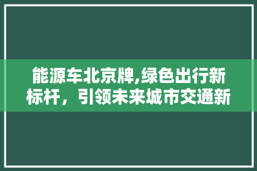 能源车北京牌,绿色出行新标杆，引领未来城市交通新潮流