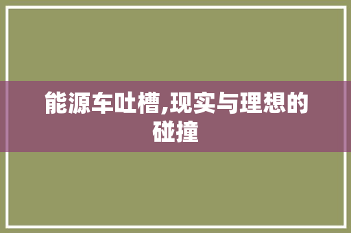 能源车吐槽,现实与理想的碰撞
