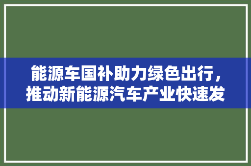 能源车国补助力绿色出行，推动新能源汽车产业快速发展