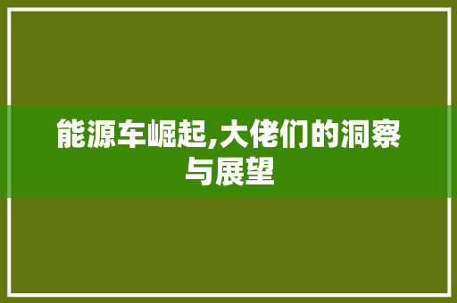 能源车崛起,大佬们的洞察与展望