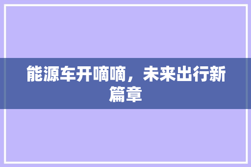 能源车开嘀嘀，未来出行新篇章