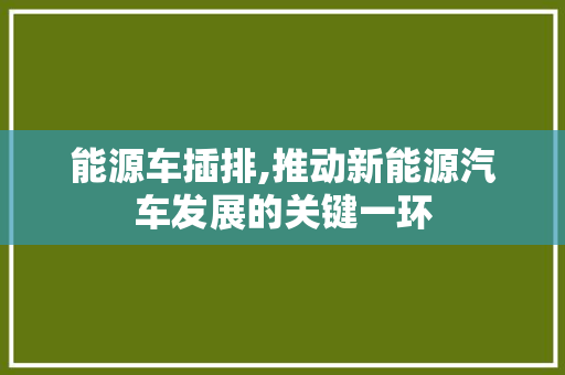 能源车插排,推动新能源汽车发展的关键一环