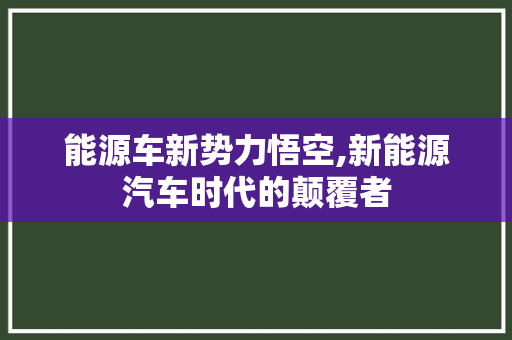 能源车新势力悟空,新能源汽车时代的颠覆者