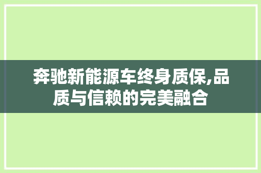 奔驰新能源车终身质保,品质与信赖的完美融合