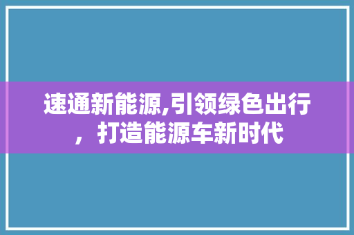 速通新能源,引领绿色出行，打造能源车新时代