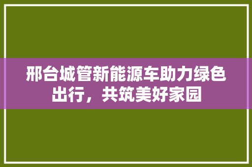 邢台城管新能源车助力绿色出行，共筑美好家园