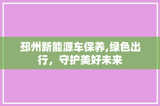 邳州新能源车保养,绿色出行，守护美好未来