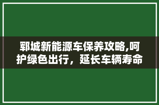 郓城新能源车保养攻略,呵护绿色出行，延长车辆寿命