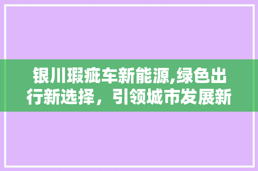 银川瑕疵车新能源,绿色出行新选择，引领城市发展新方向