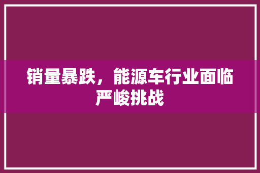 销量暴跌，能源车行业面临严峻挑战
