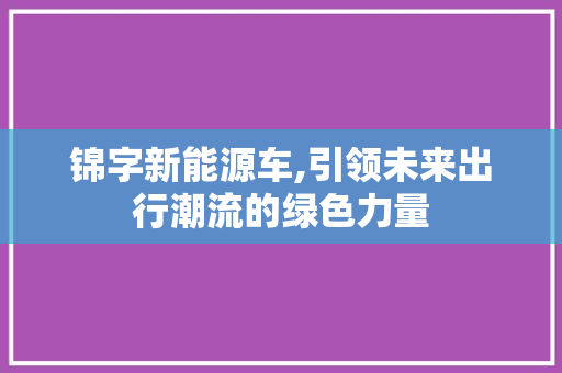 锦字新能源车,引领未来出行潮流的绿色力量