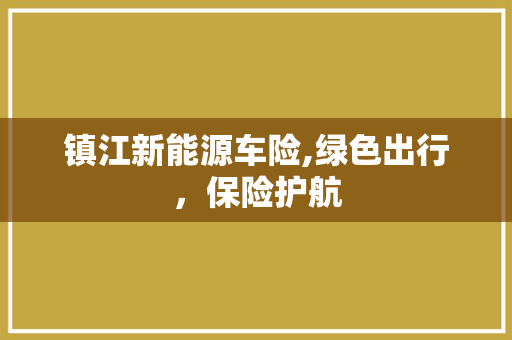镇江新能源车险,绿色出行，保险护航