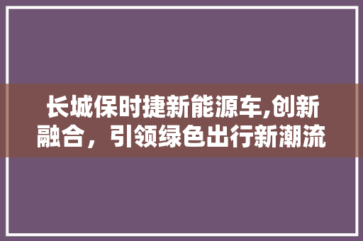 长城保时捷新能源车,创新融合，引领绿色出行新潮流