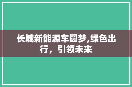 长城新能源车圆梦,绿色出行，引领未来
