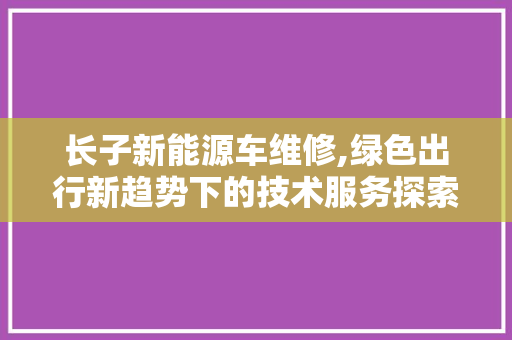长子新能源车维修,绿色出行新趋势下的技术服务探索