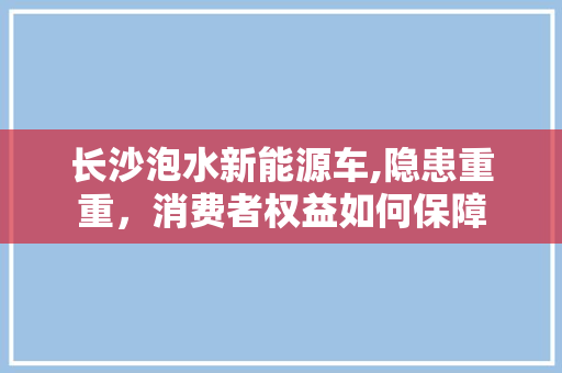 长沙泡水新能源车,隐患重重，消费者权益如何保障
