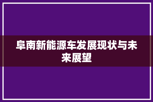 阜南新能源车发展现状与未来展望