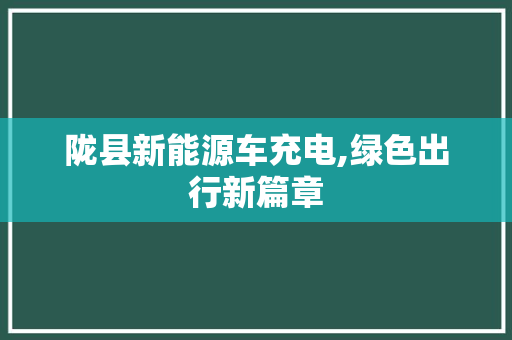 陇县新能源车充电,绿色出行新篇章
