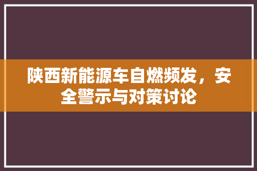 陕西新能源车自燃频发，安全警示与对策讨论