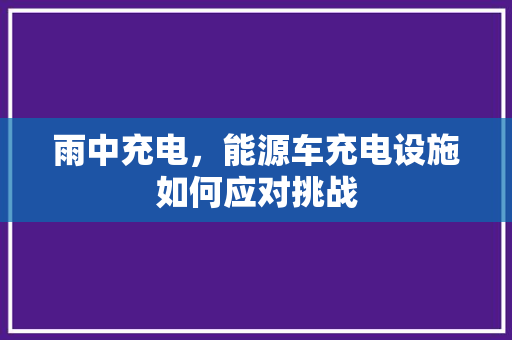 雨中充电，能源车充电设施如何应对挑战