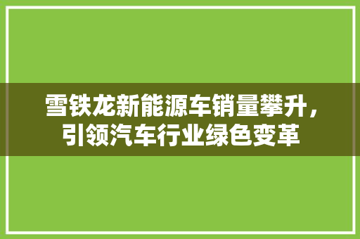 雪铁龙新能源车销量攀升，引领汽车行业绿色变革