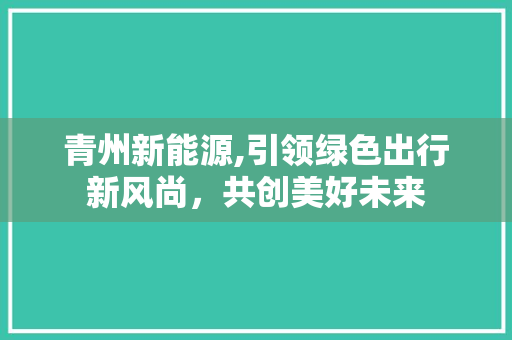 青州新能源,引领绿色出行新风尚，共创美好未来
