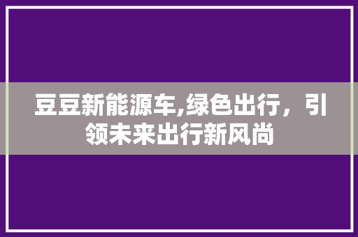 豆豆新能源车,绿色出行，引领未来出行新风尚