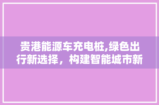贵港能源车充电桩,绿色出行新选择，构建智能城市新蓝图