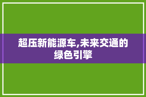 超压新能源车,未来交通的绿色引擎