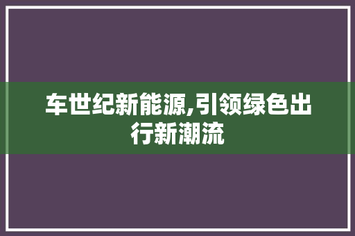 车世纪新能源,引领绿色出行新潮流