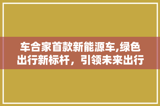 车合家首款新能源车,绿色出行新标杆，引领未来出行潮流