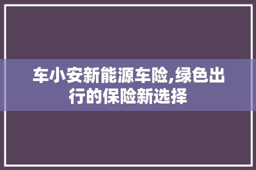 车小安新能源车险,绿色出行的保险新选择