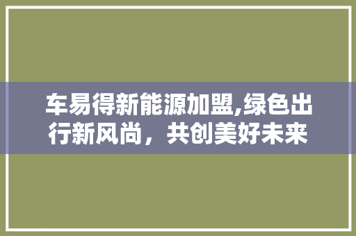 车易得新能源加盟,绿色出行新风尚，共创美好未来