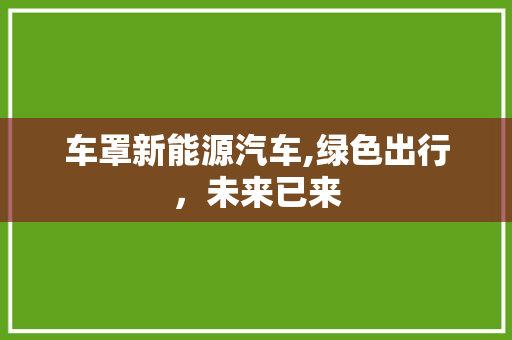 车罩新能源汽车,绿色出行，未来已来