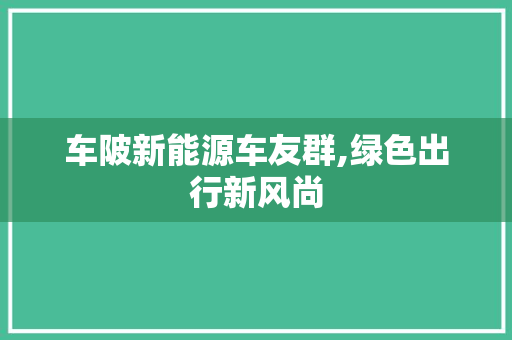 车陂新能源车友群,绿色出行新风尚