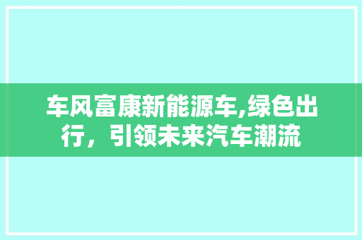 车风富康新能源车,绿色出行，引领未来汽车潮流