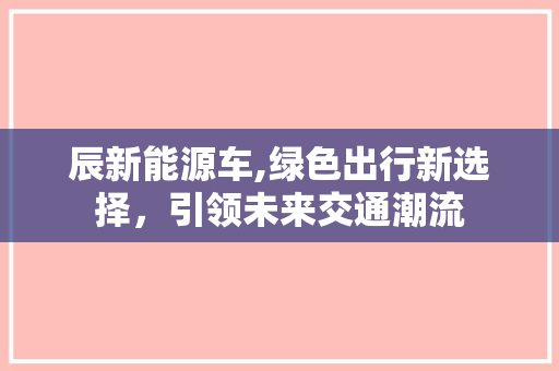 辰新能源车,绿色出行新选择，引领未来交通潮流