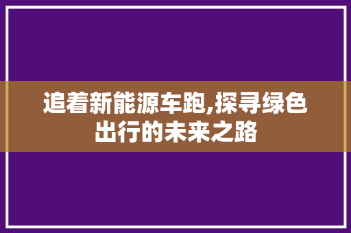 追着新能源车跑,探寻绿色出行的未来之路