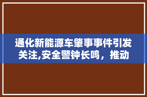 通化新能源车肇事事件引发关注,安全警钟长鸣，推动产业健康发展