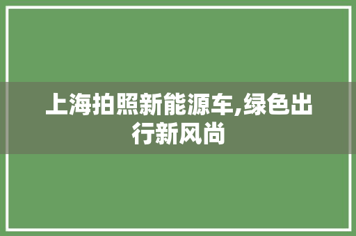 上海拍照新能源车,绿色出行新风尚