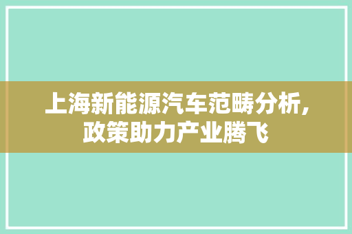 上海新能源汽车范畴分析,政策助力产业腾飞