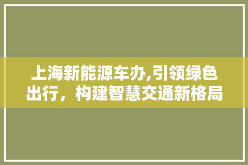 上海新能源车办,引领绿色出行，构建智慧交通新格局