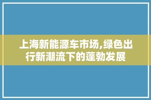 上海新能源车市场,绿色出行新潮流下的蓬勃发展
