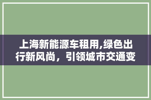 上海新能源车租用,绿色出行新风尚，引领城市交通变革